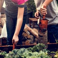 Children Planting Vegetables